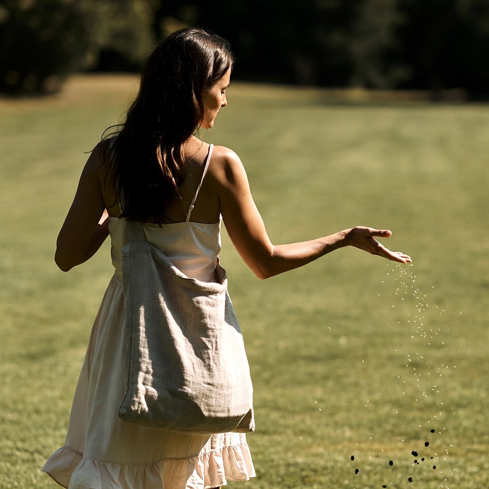 Hands scattering wildflower seeds over prepared soil